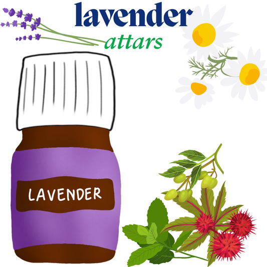 Lavender - Pure Concentrated Perfume Oil by Fragrance Point